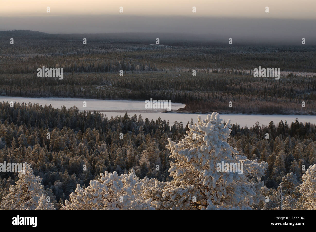 View from top of Vaattunkivaara hill over wintery wilderness in Rovaniemi, Finnish Lappland Stock Photo
