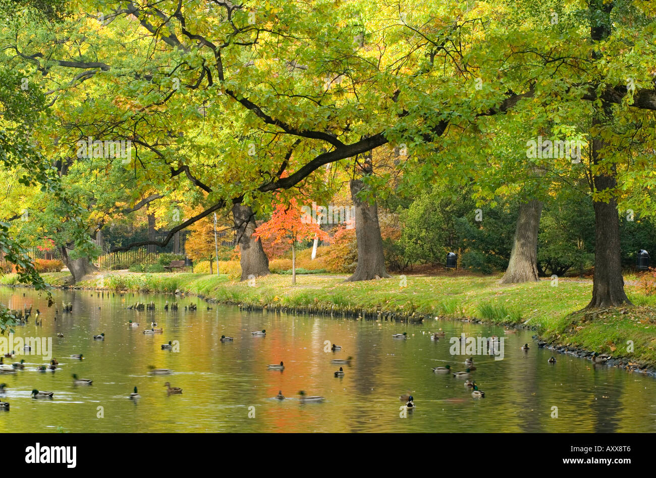 Quiet water and autum colours colors Stock Photo