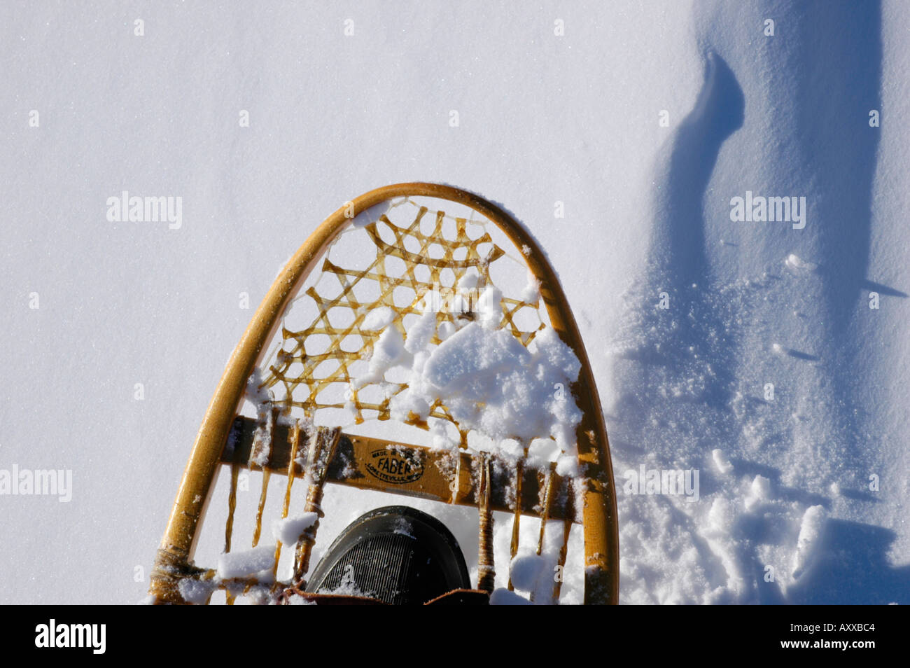 Canadian winter scene with fresh snow and snowshoe tracks and snowshoes