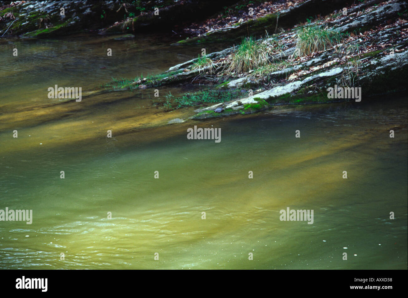 Cedar creek virginia hires stock photography and images Alamy