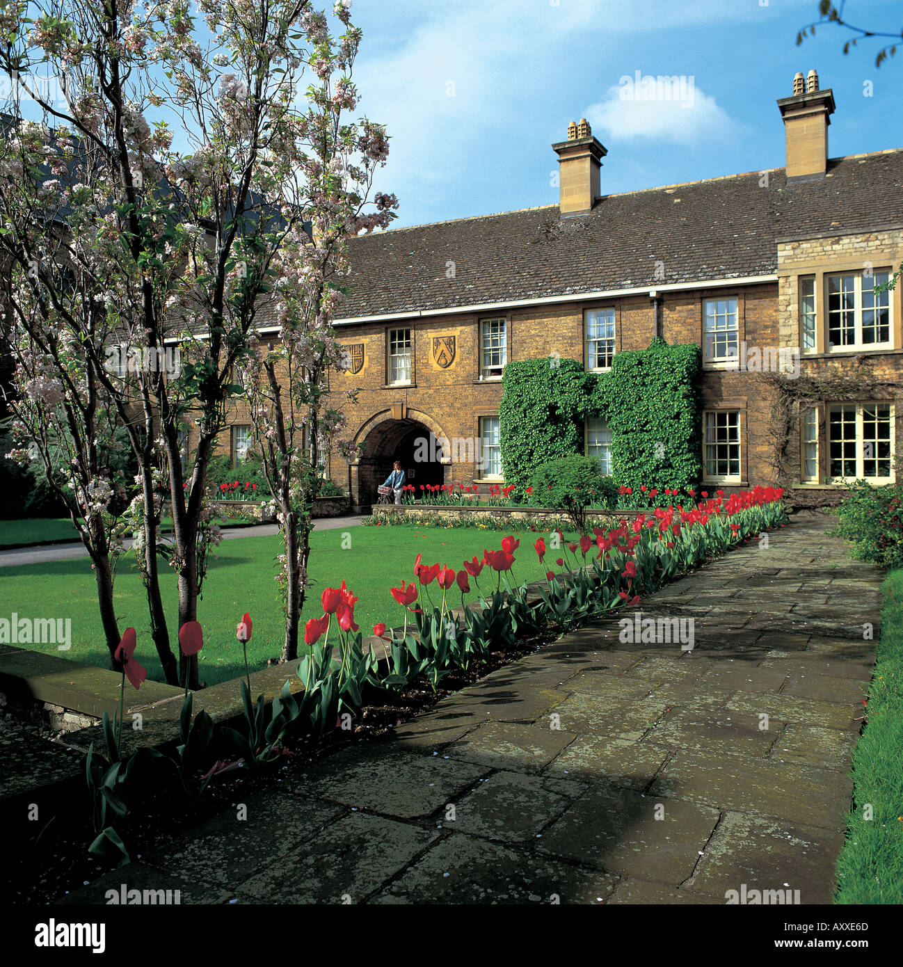 Somerville College Oxford buildings and gardens Stock Photo
