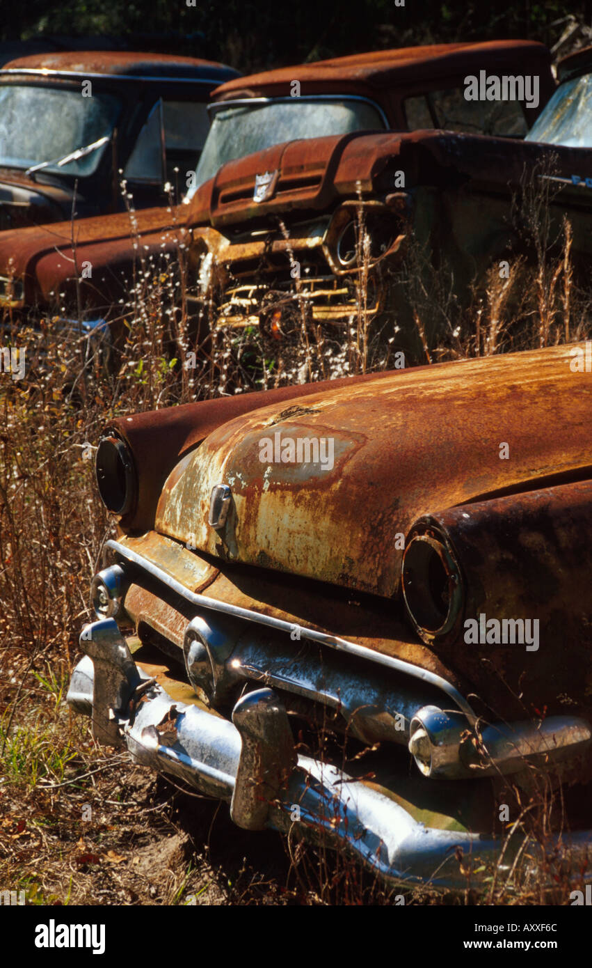 Crawfordville Florida,rusted rusty rusting junked abandoned antique car