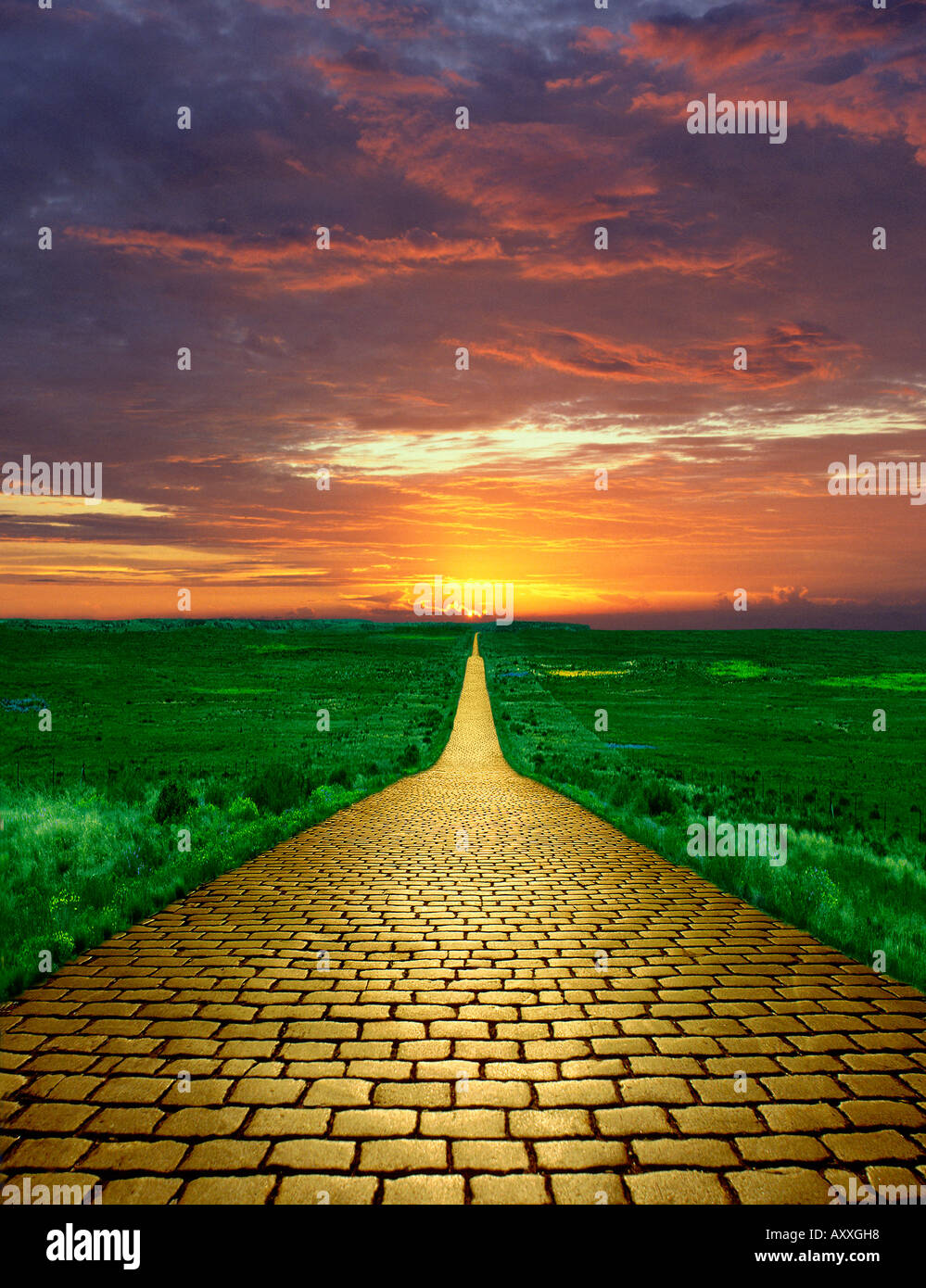 Yellow Brick Road Stock Illustrations – 855 Yellow Brick Road