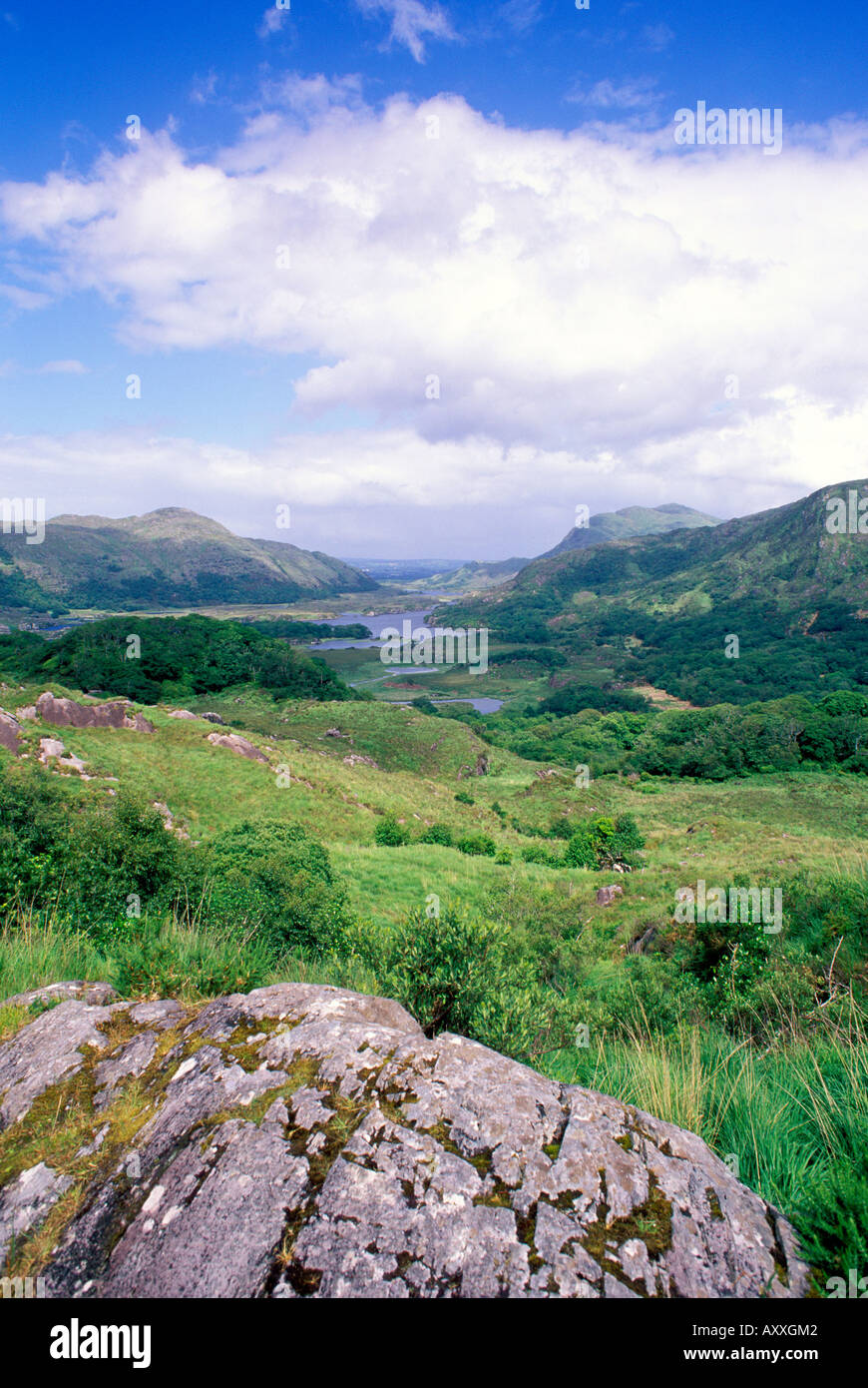 Killarney National Park Ring Of Kerry County Kerry Ireland Stock Photo