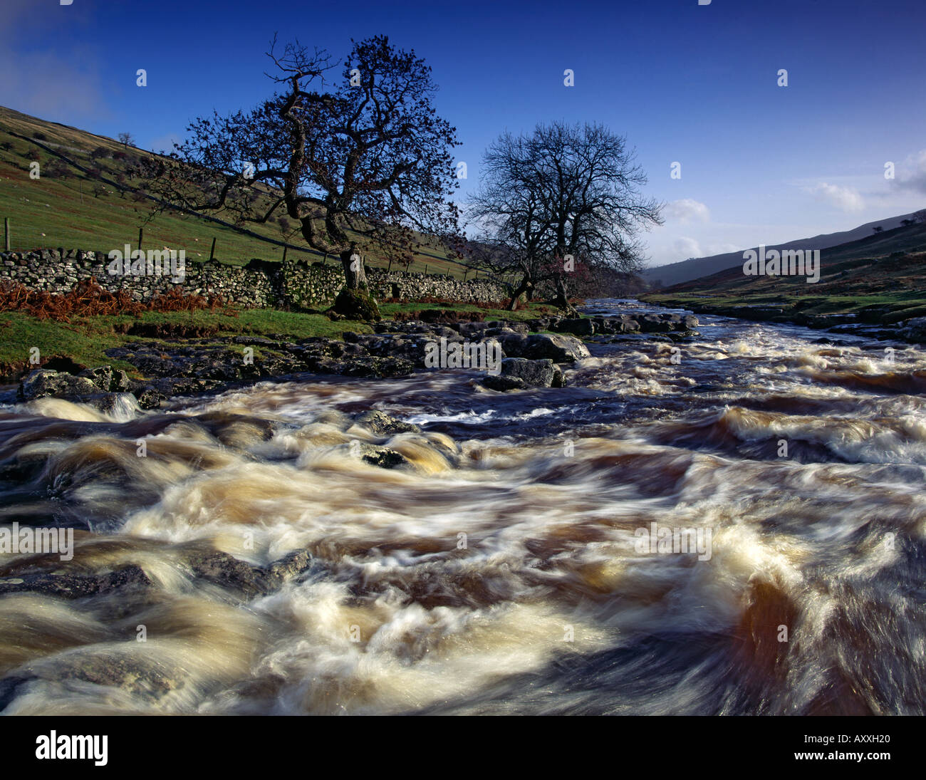 The river Wharfe in Langstrothdale in the Yorkshire Dales Stock Photo