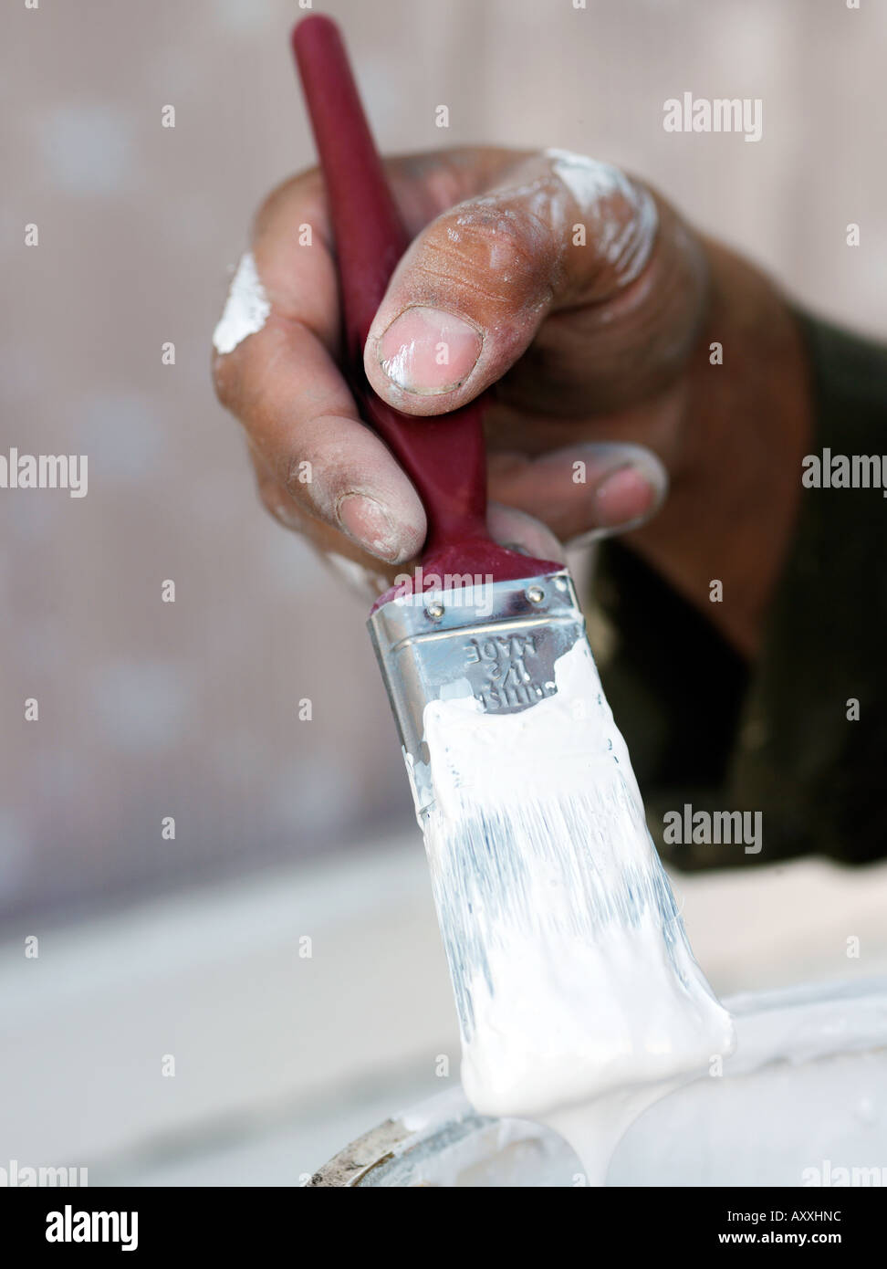 Painter and Decorator painting Stock Photo Alamy