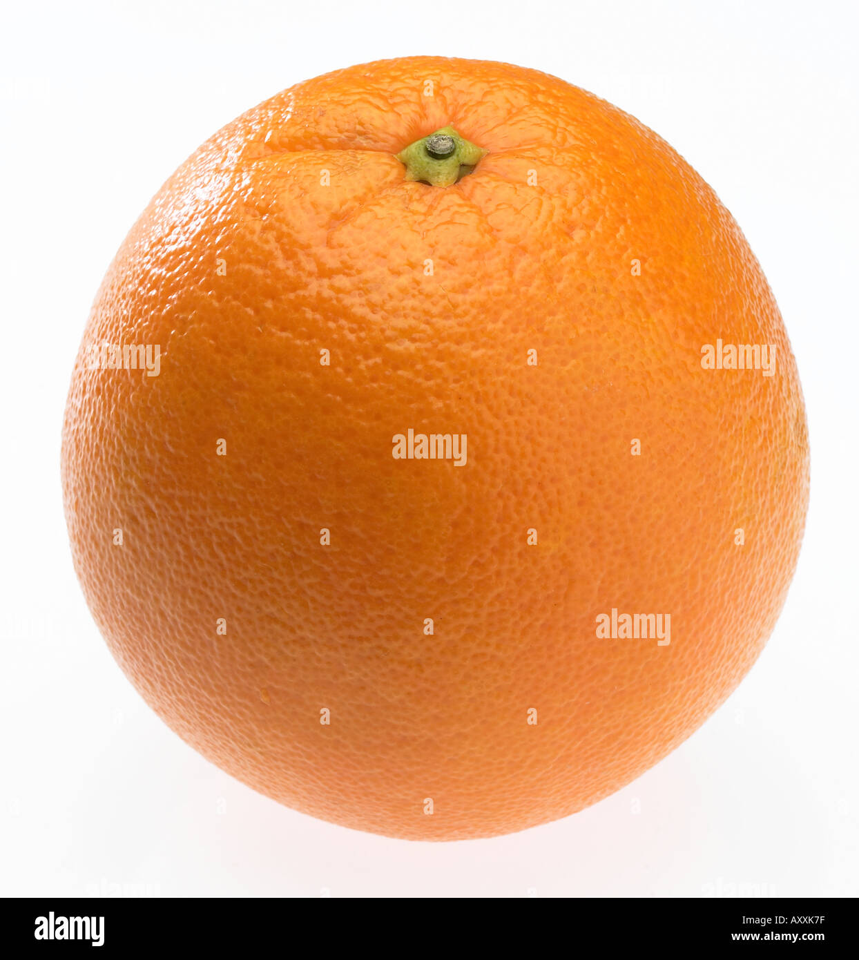 Single orange on white b g Stock Photo