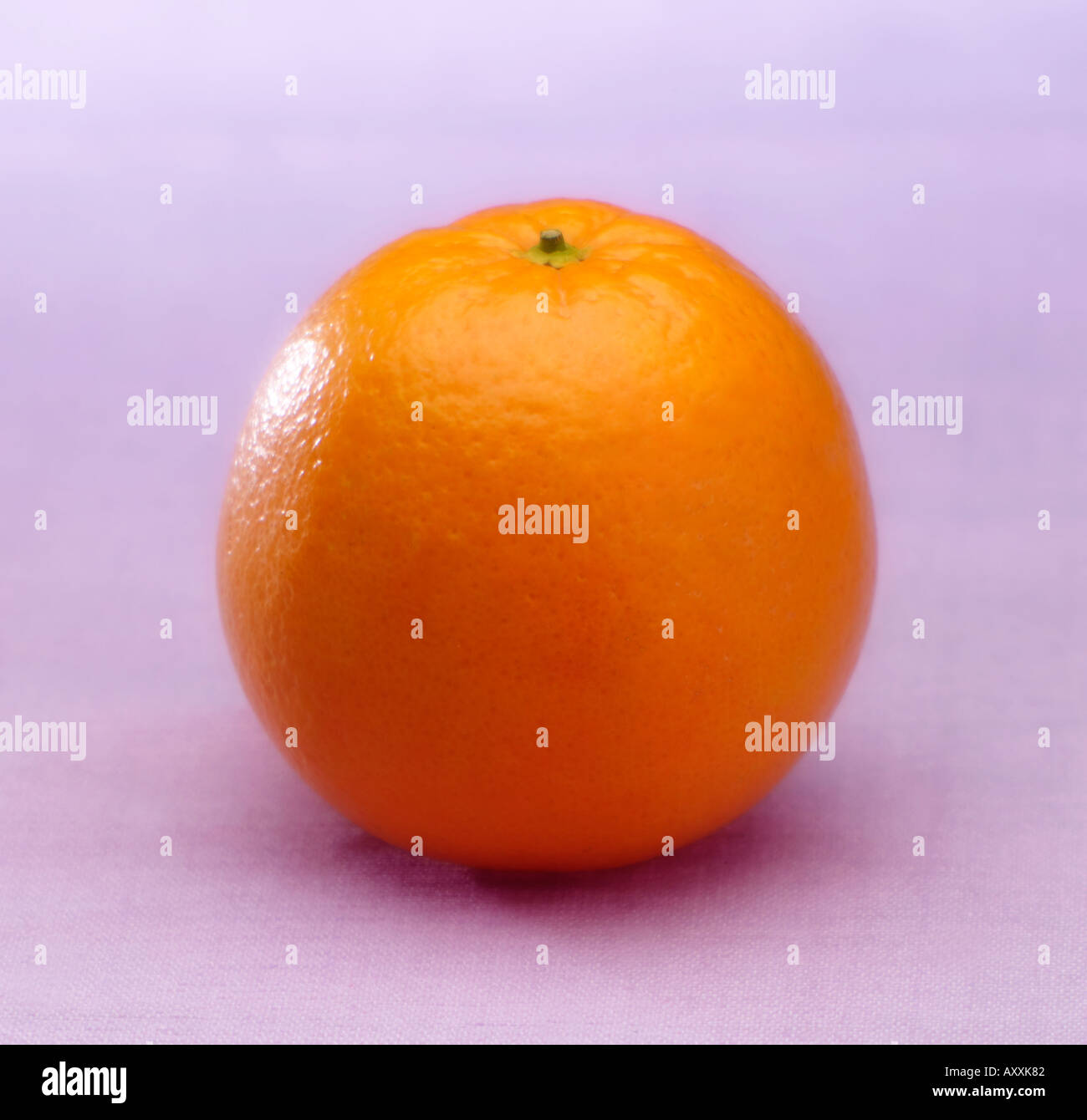 Single orange on lilac b g Stock Photo