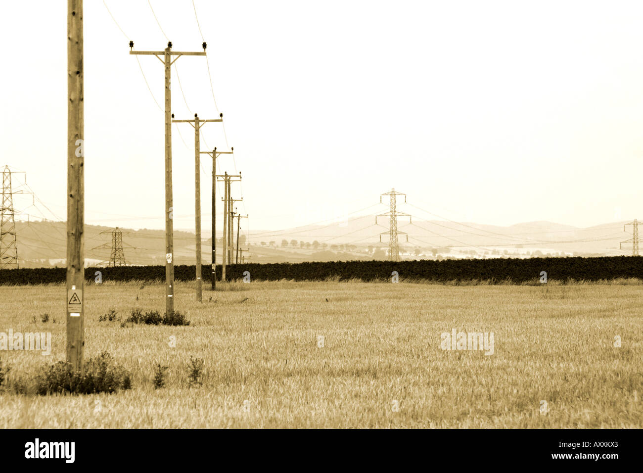 UK British rural sepia toned landscape with telephone poles Stock Photo
