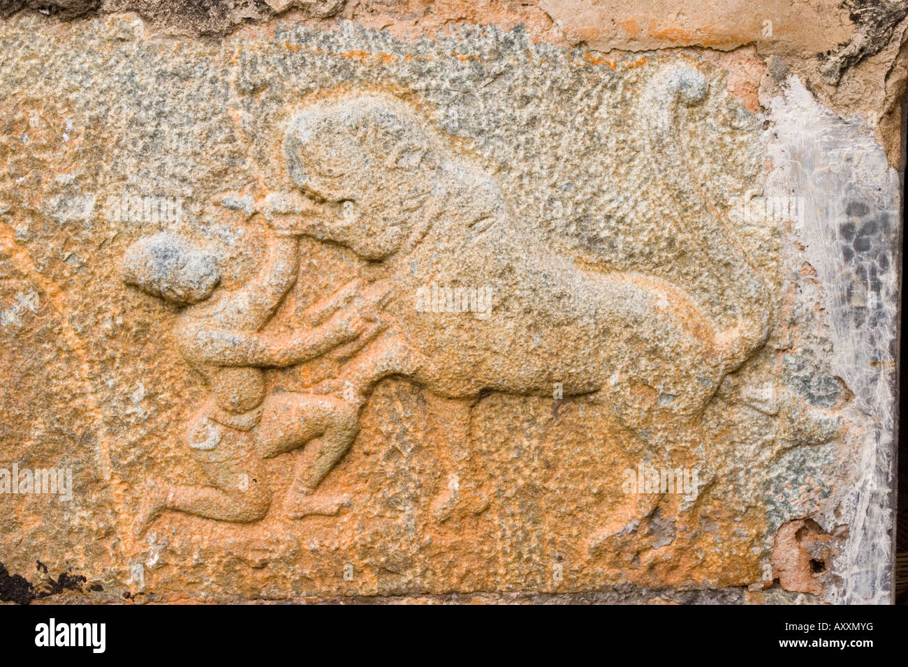 Carving of Tipu Sultan wrestling a tiger on the wall of Bangalore fort in Bangalore India Stock Photo