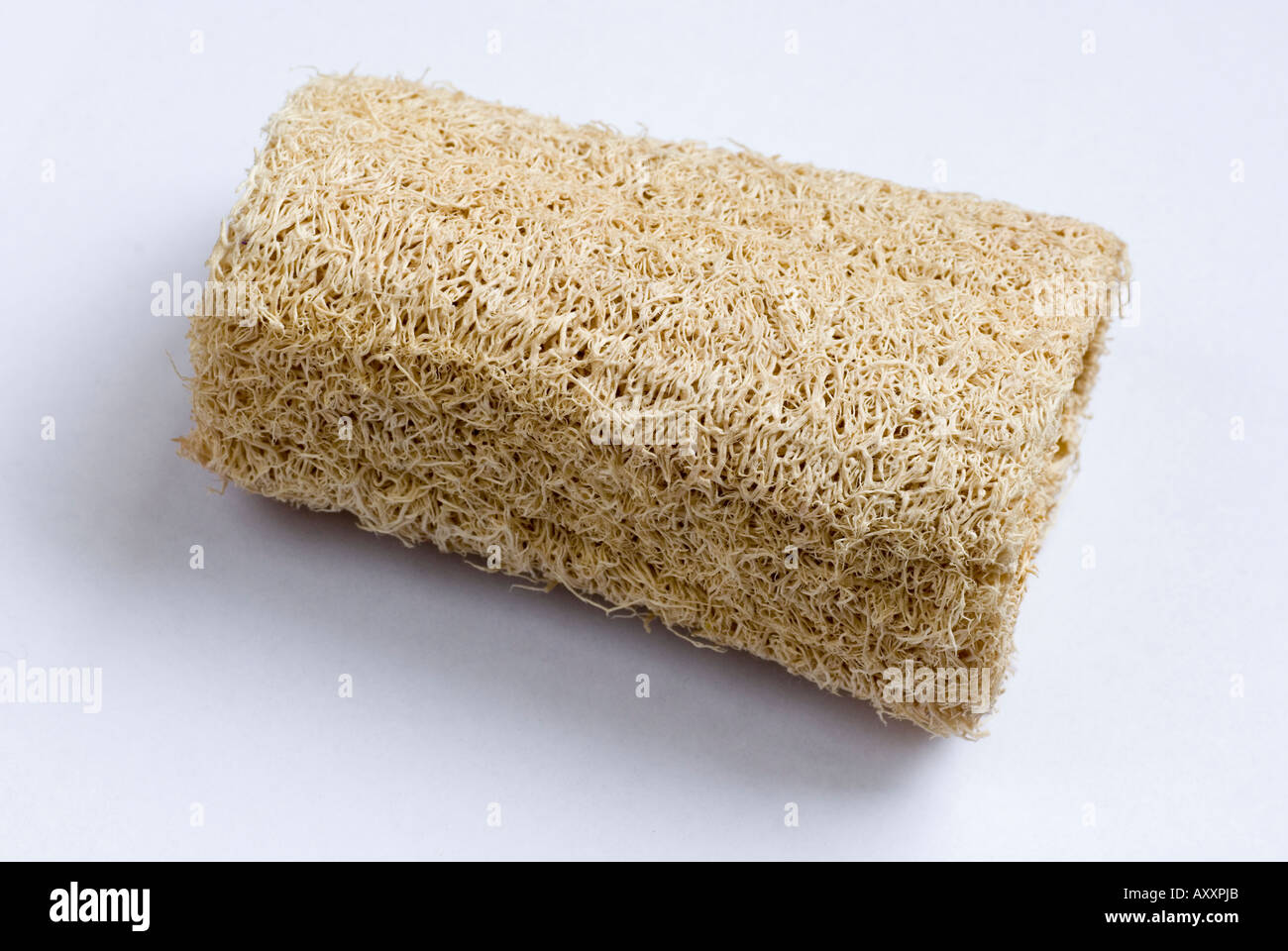 loofah on a white background Stock Photo