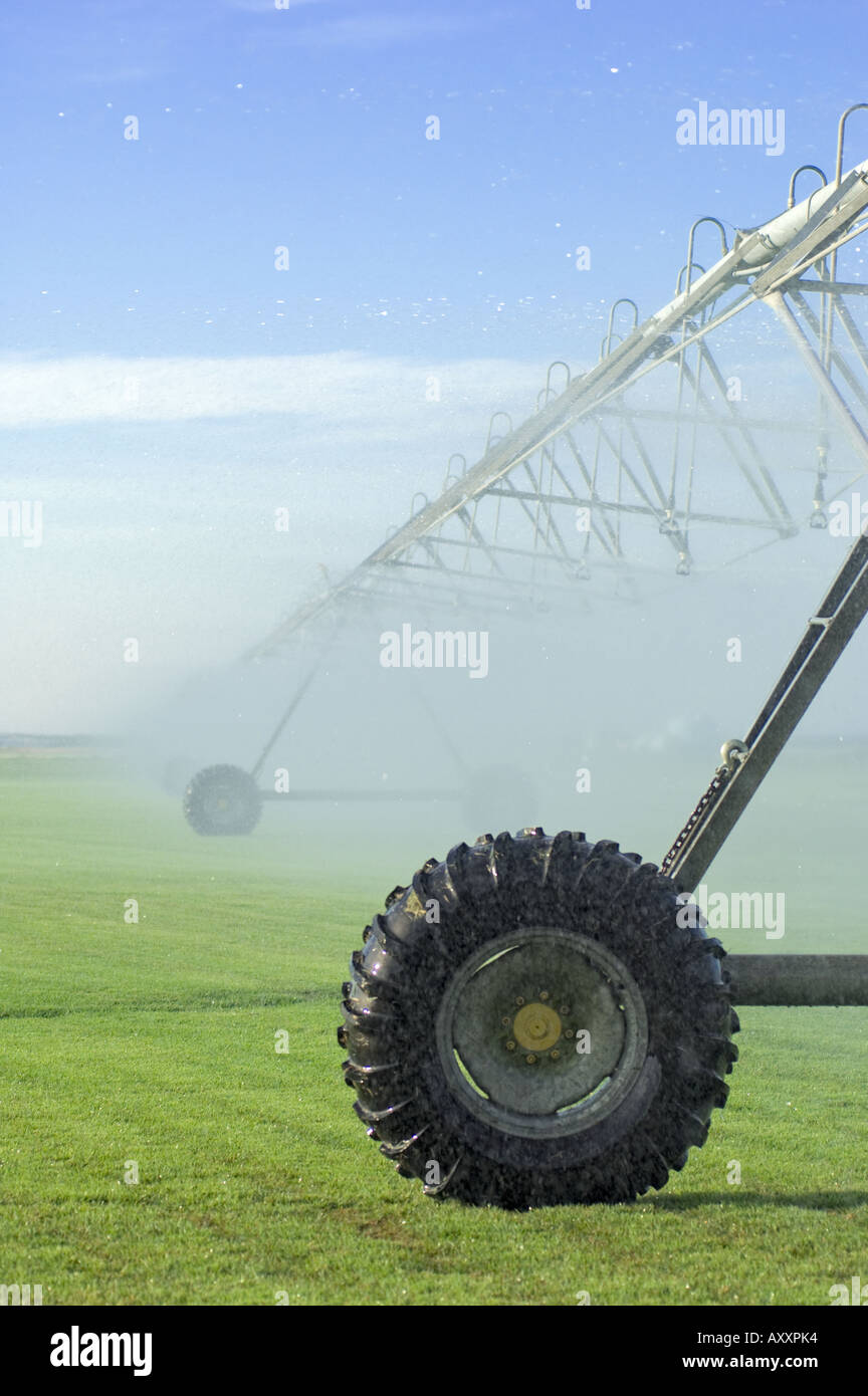 automated circular rotating center pivot irrigation system sod farming