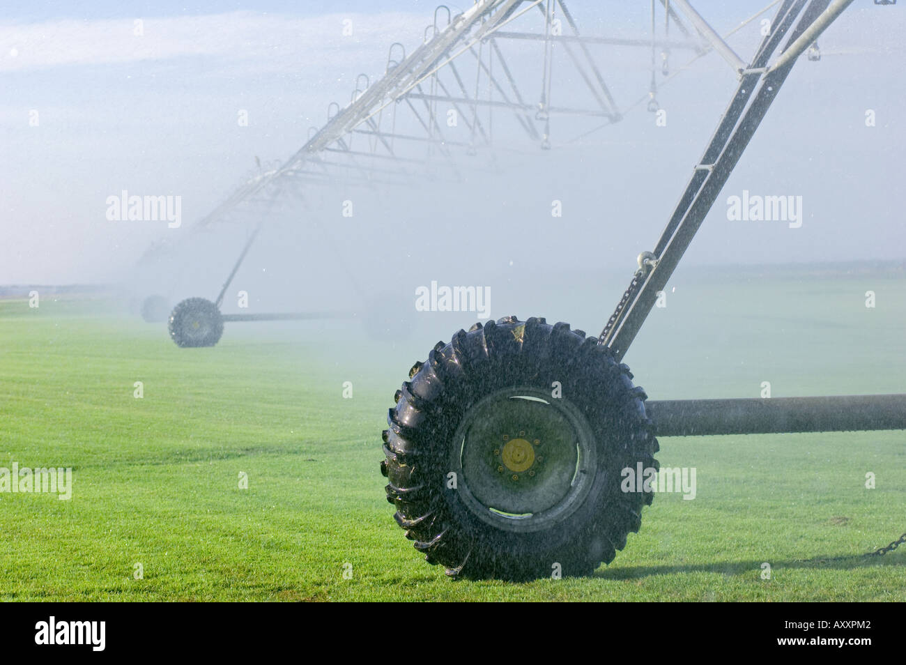automated circular rotating center pivot irrigation system sod farming