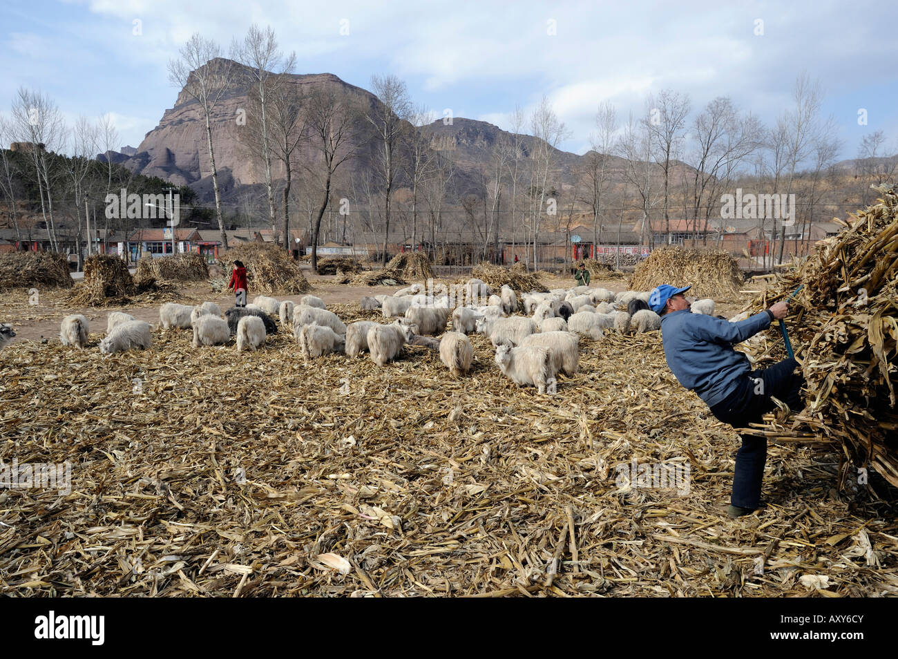 A village in Chicheng county, Hebei province, China. 27-Mar-2008 Stock Photo