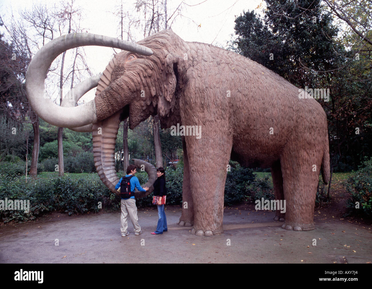 Elephant ciutadella park barcelona catalonia hi-res stock photography and  images - Alamy