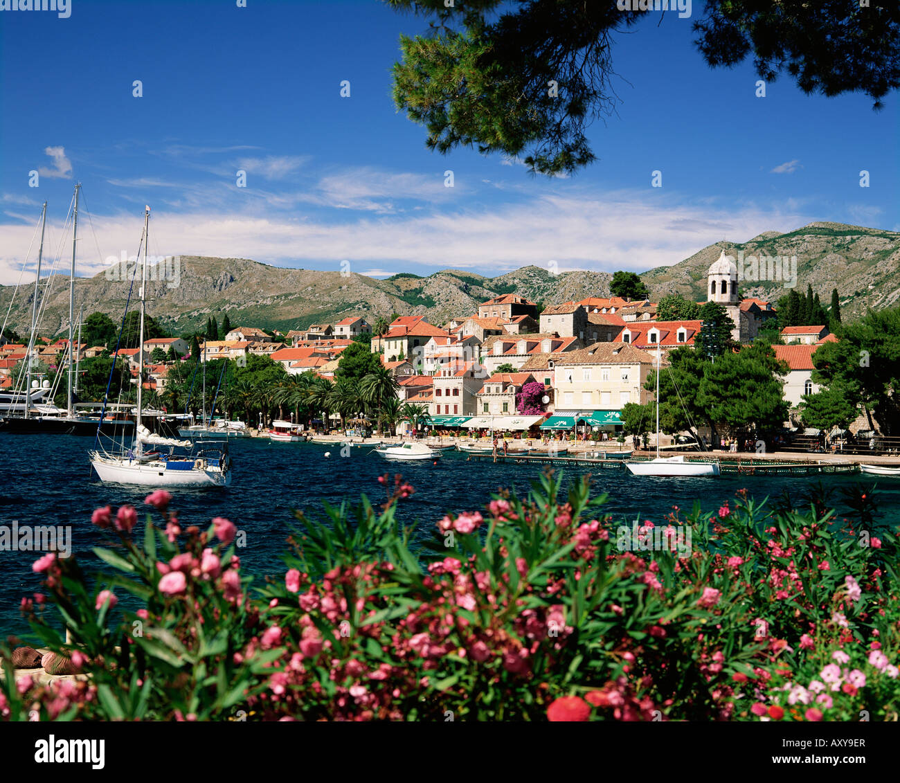 The Old Town, Cavtat, Dubrovnik Riviera, Dalmatia, Dalmatian coast, Croatia, Europe Stock Photo