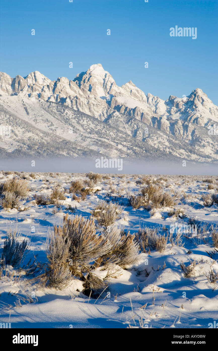 Tetons with first light in the valley with snow, Grand Teton National Park, Wyoming, United States of America, North America Stock Photo
