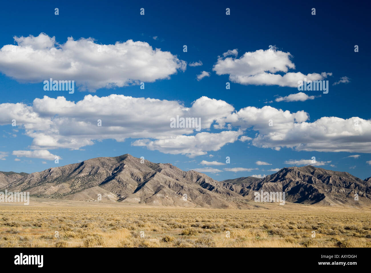 Grant Range, Great Basin, Nevada, United States of America, North America Stock Photo