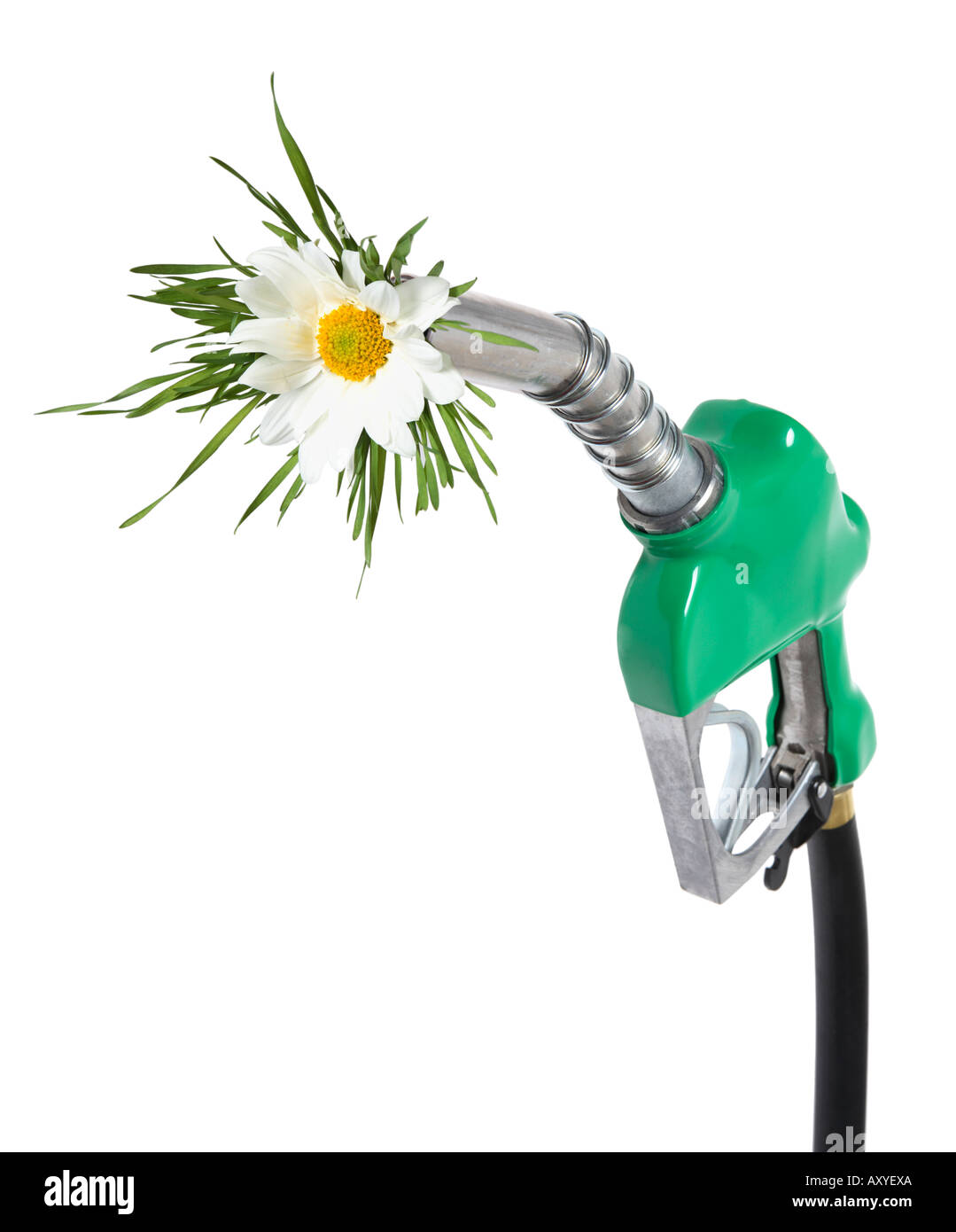 Flowers and Grass coming out of Gas Nozzle. Stock Photo