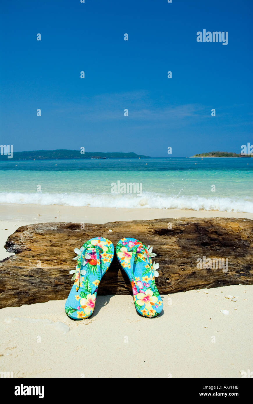 Pair of sandals flip flops on tropical beach blue sky tropics Stock ...