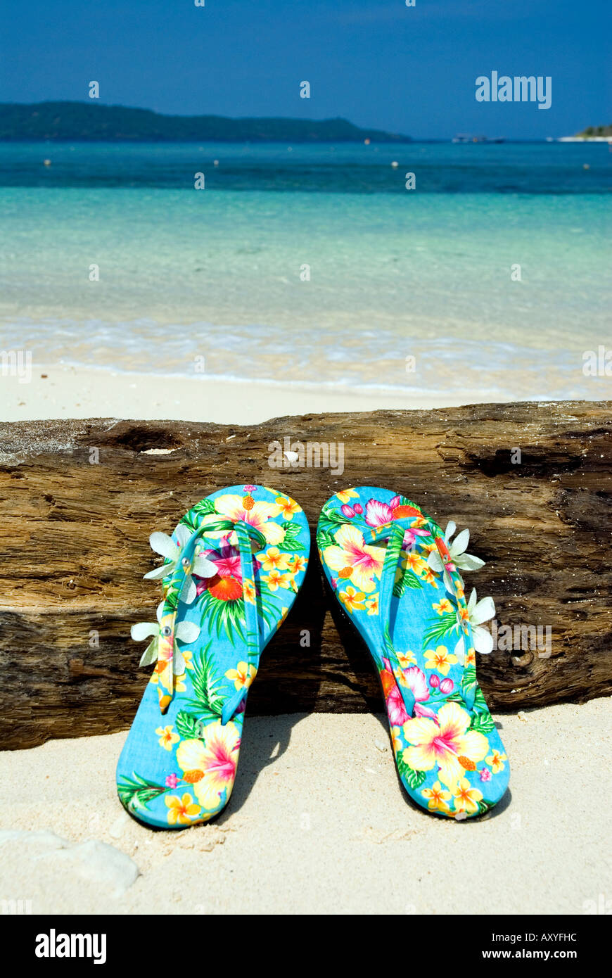 Pair of sandals flip flops on tropical beach blue sky tropics Stock ...