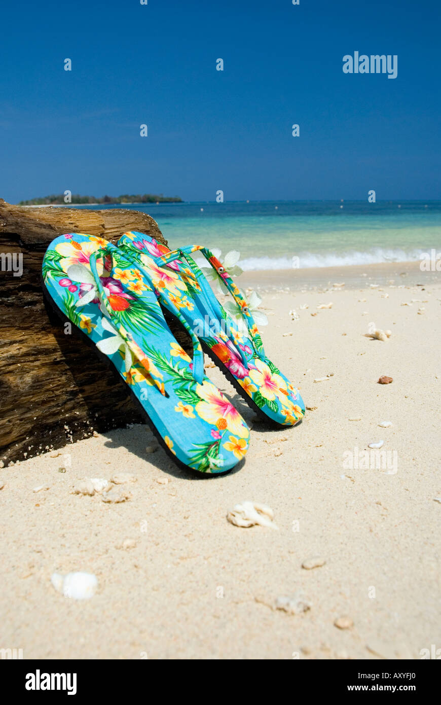 Pair of sandals flip flops on tropical beach blue sky tropics Stock