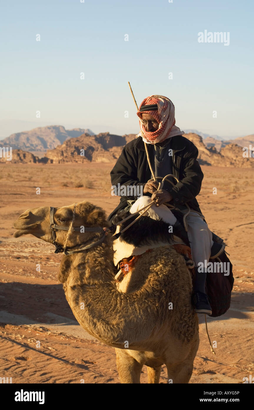 Bedouin on camel in the desert, Wadi Rum, Jordan, Middle East Stock Photo