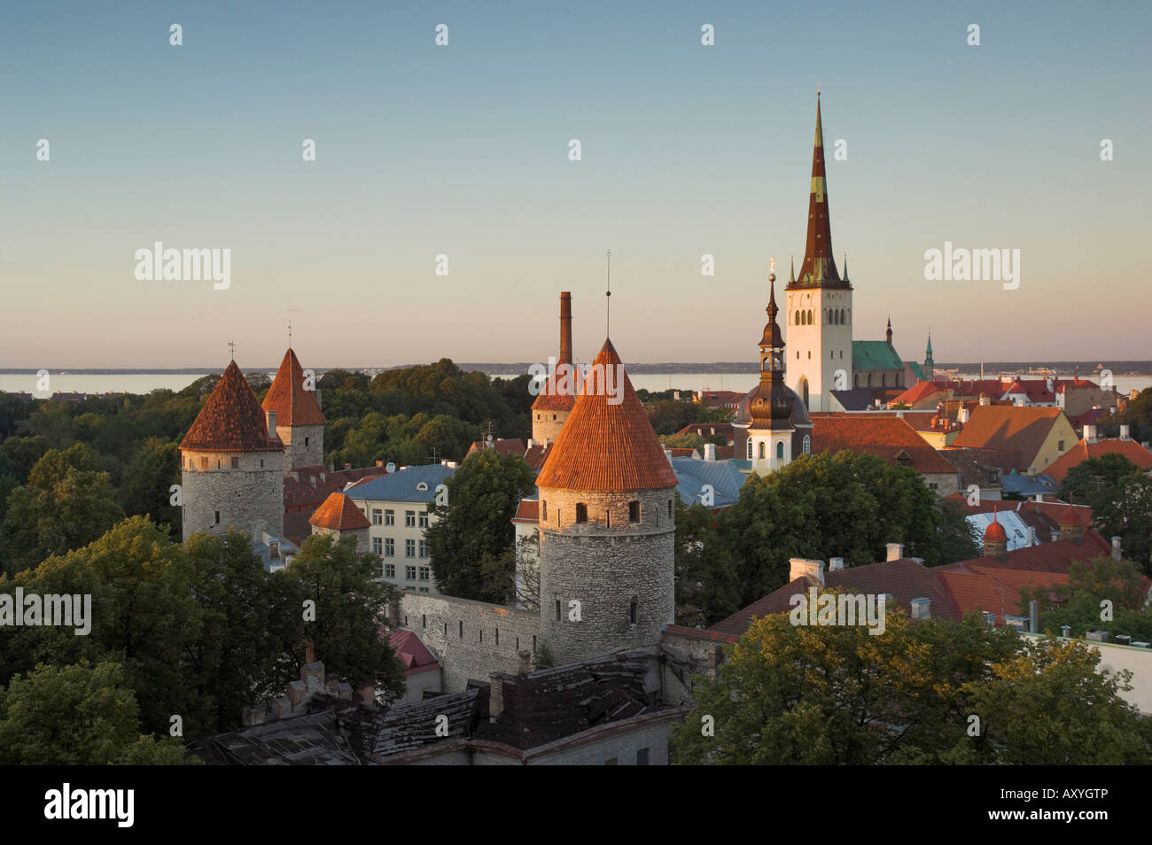 Medieval town walls and spire of St. Olavs church at dusk, Tallinn, Estonia, Baltic States, Europe Stock Photo