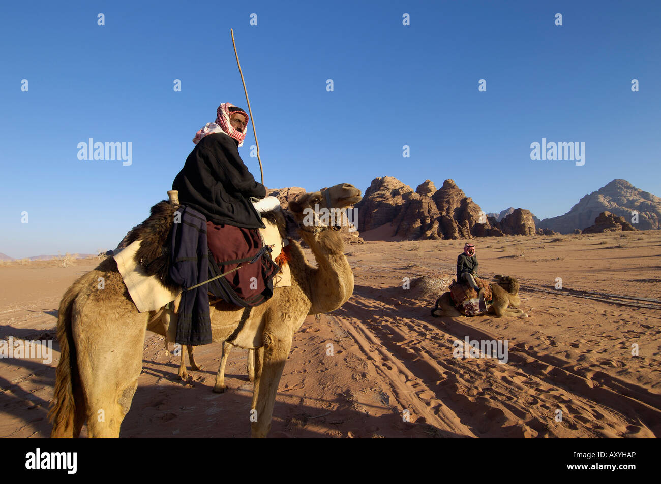 Bedouin on camels in the desert, Wadi Rum, Jordan, Middle East Stock Photo