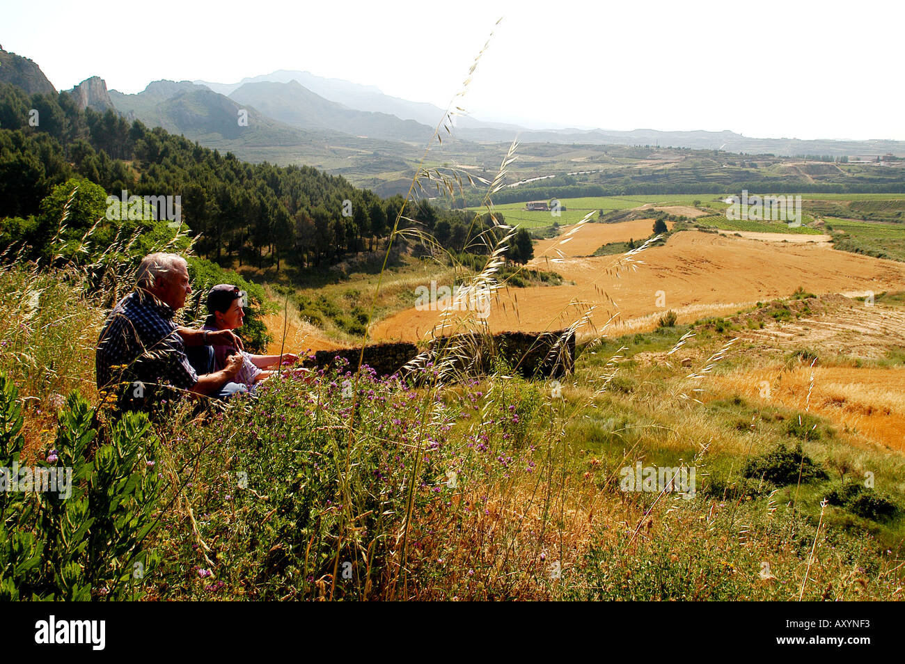 Couple admiring the scenery near Haro La Rioja Spain Stock Photo
