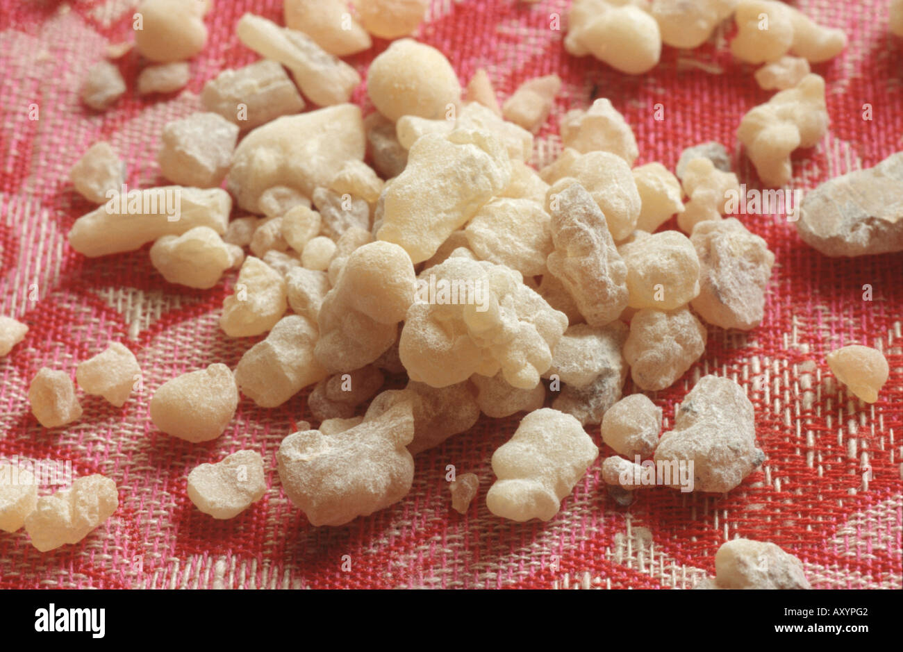 frankincense (Boswellia spec.), resin chunks Stock Photo