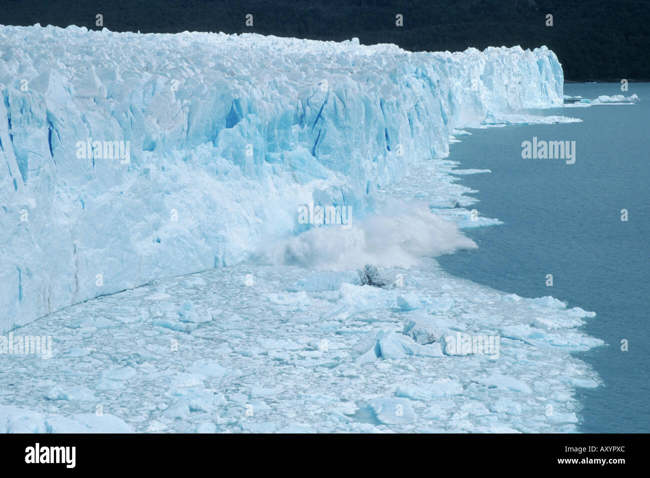 calving glacier (Perito Moreno), Largo Argentino, Argentina, Los Glaciares National Park Stock Photo