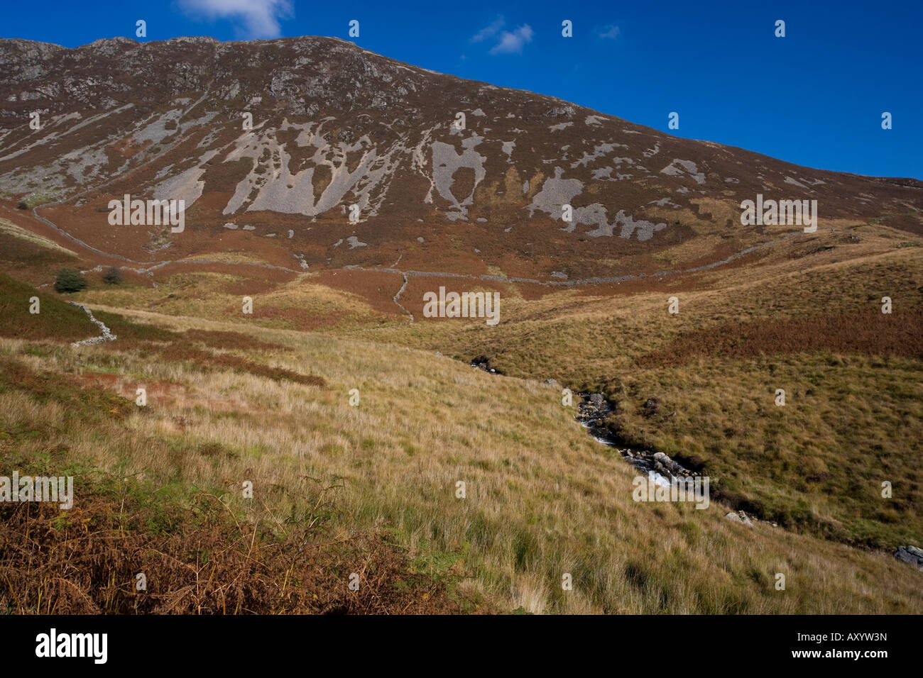 Stream, Cadair Idris, Snowdonia, Wales, UK Stock Photo