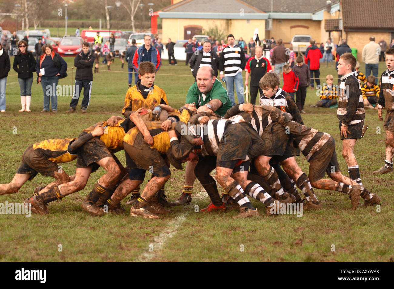 Junior rugby match Under 12 players scrum scrumage under the guidance of the match referee EDITORIAL USE ONLY Stock Photo