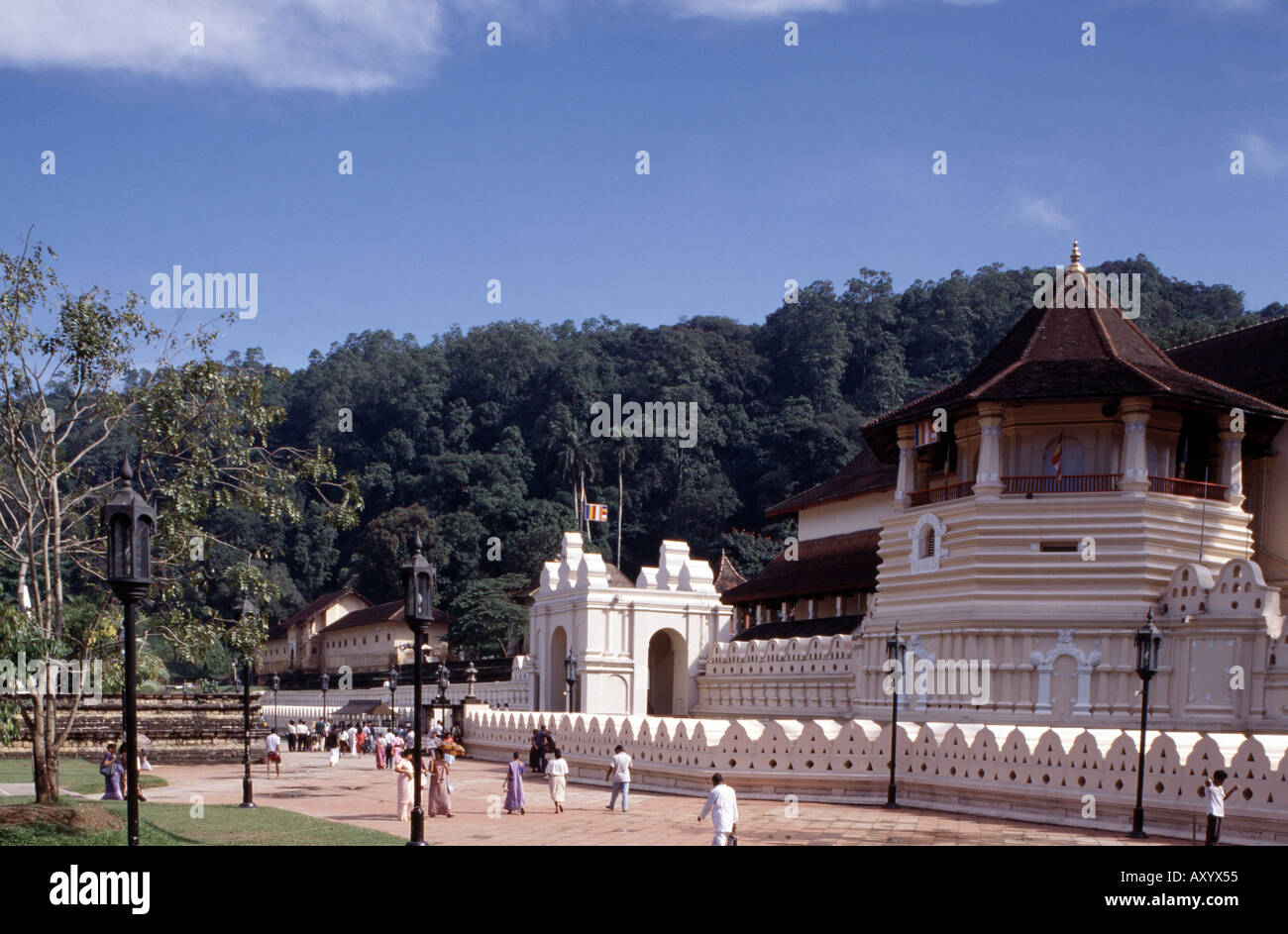 Kandy, Zahntempel mit heiligem Bodhi Baum, Übersicht Stock Photo