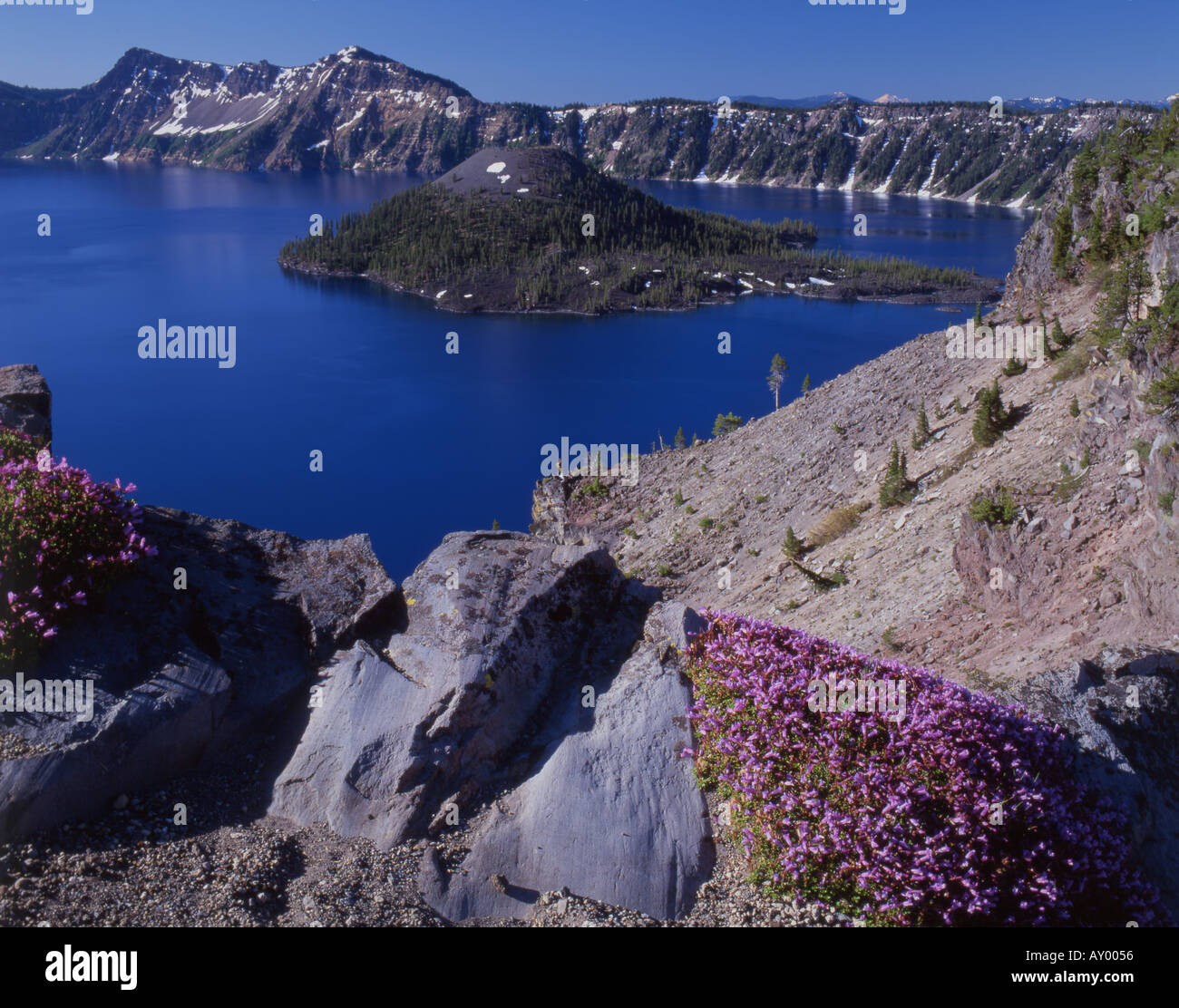 Oregon s Crater Lake National Park from Merriam Point and summer bloom