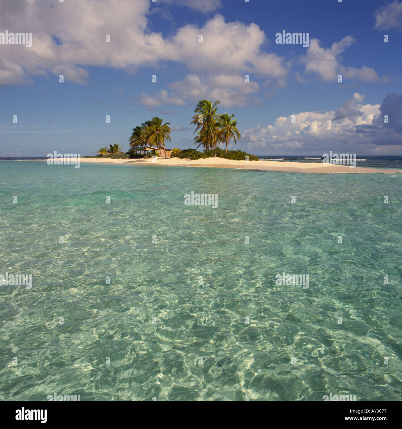 View looking over shallow sea to idyllic typical dream style tropical ...