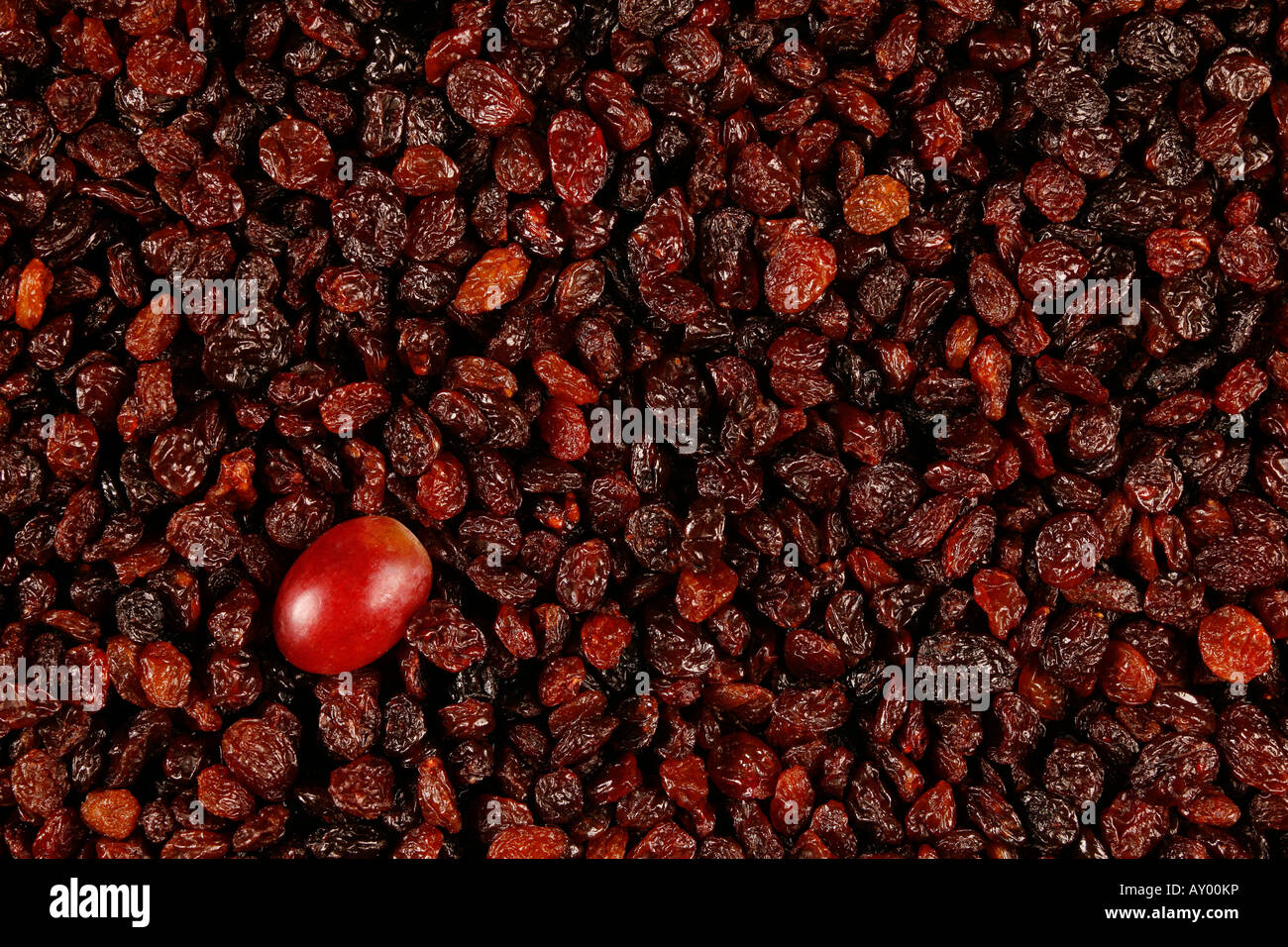 One red grape amongst raisins Stock Photo Alamy
