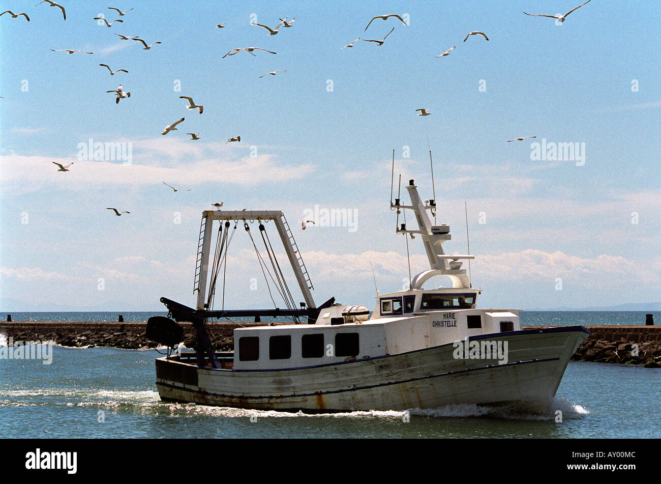 Fishing Boat returning to harbour followed by seagulls Stock Photo - Alamy