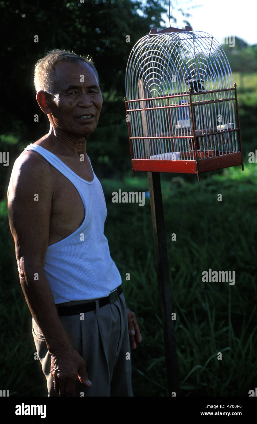 Paramaribo a man putting his songbirds outside in the morning Stock Photo