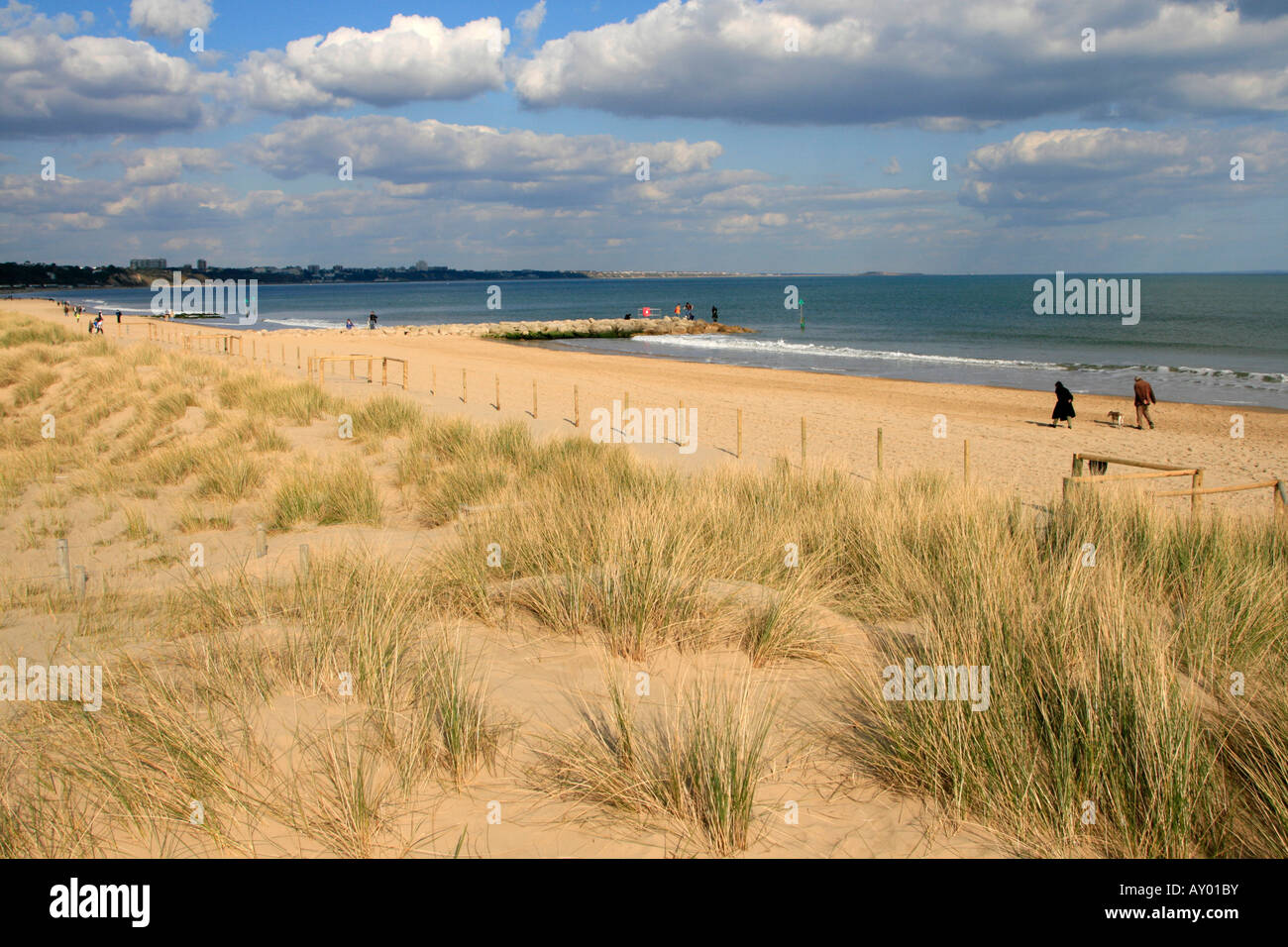 blue flag beach at sandbanks peninsula poole dorset southern england uk