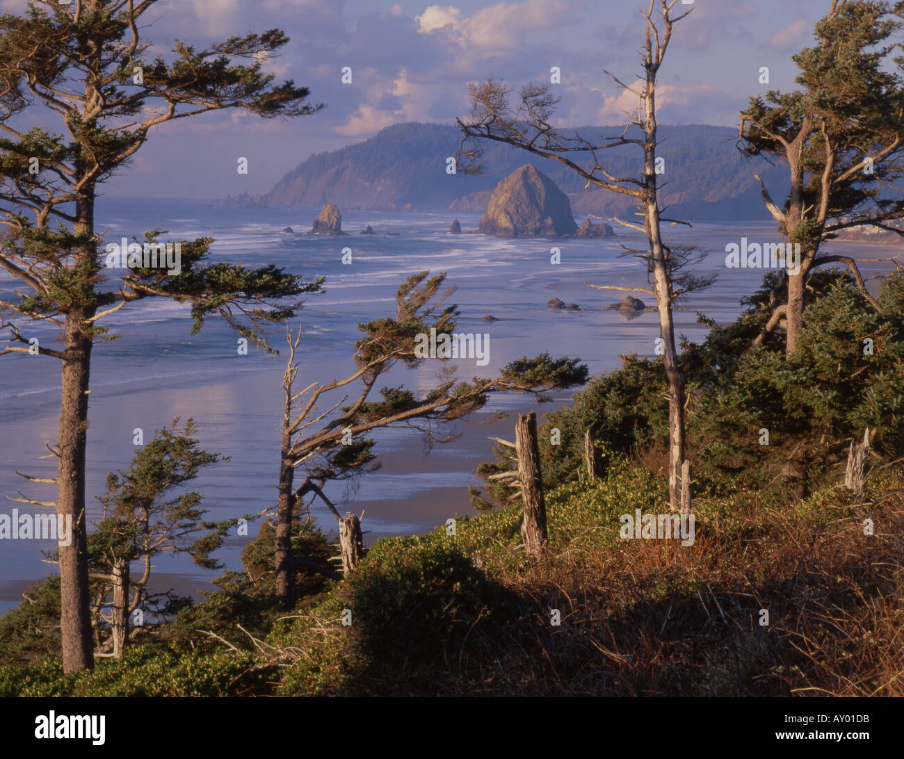 Oregon s Inspiration Point and a view of Cannon Beach and Haystack Rock ...