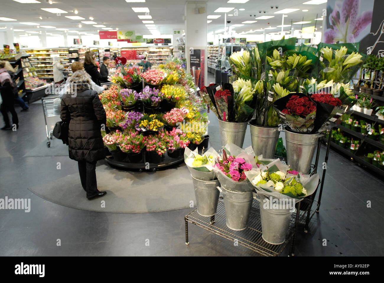 Flower displays in supermarket Stock Photo 16947789 Alamy
