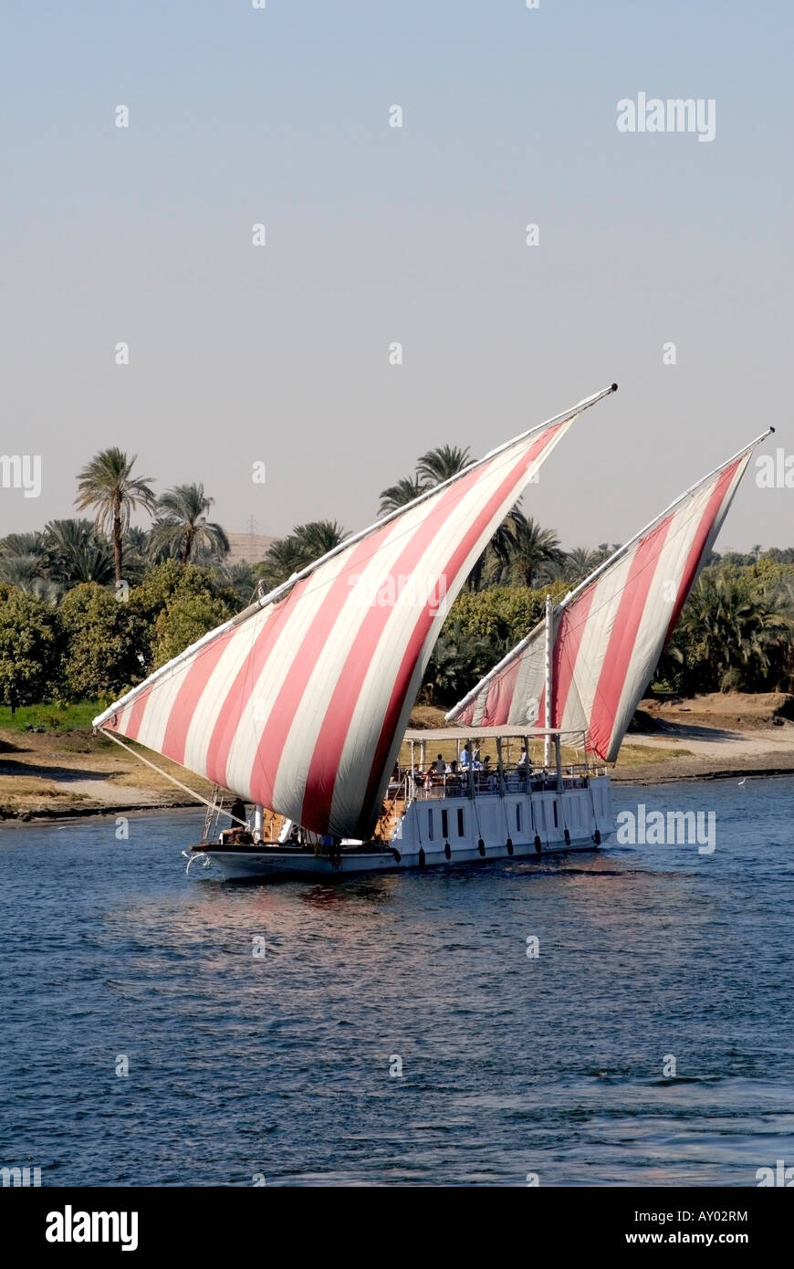 Cruising down the River Nile in Egypt with feluccas Stock Photo Alamy