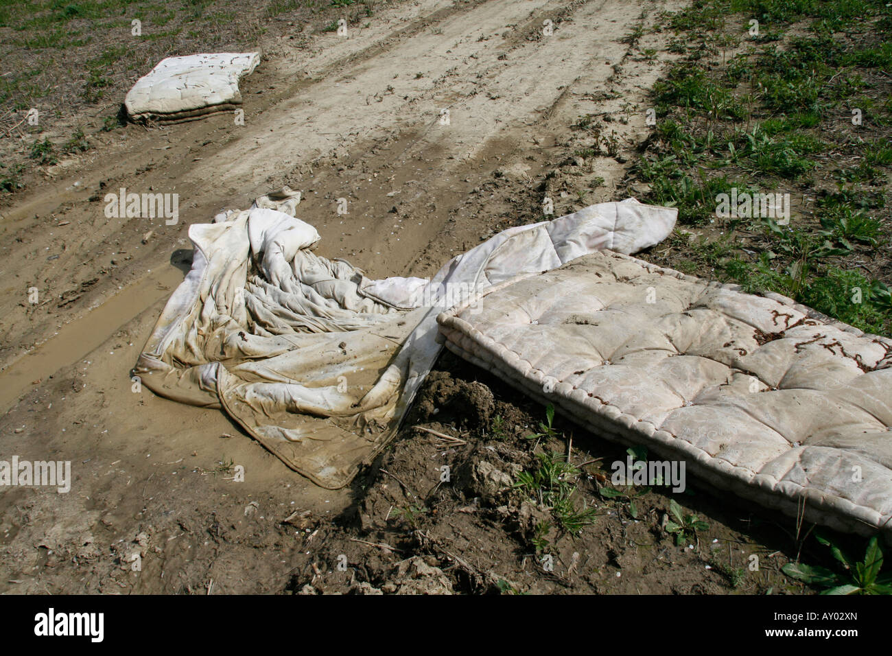 dirty bedding abandoned in field Stock Photo Alamy