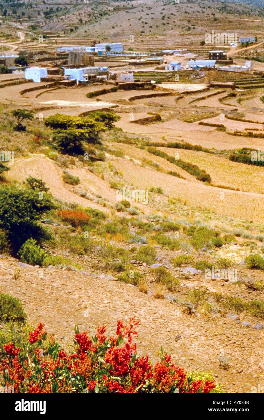 Asir Mountains Saudi Arabia Landscape Stock Photo