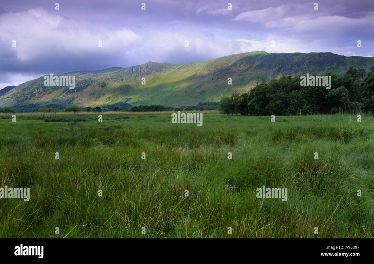 Borrowdale looking towards Black Crag Maiden Moor and Narrow Moor Lake District UK Stock Photo