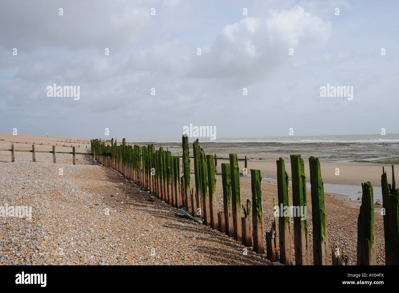 Old sea defences, Winchelsea Beach, East Sussex UK Stock Photo