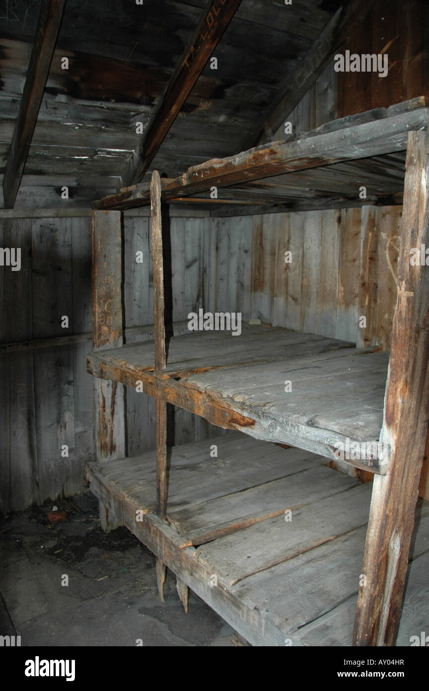 Interior of one of the two remaining miners' huts at Holy Cross City Ghost Town, Eagle County, Colorado. Stock Photo