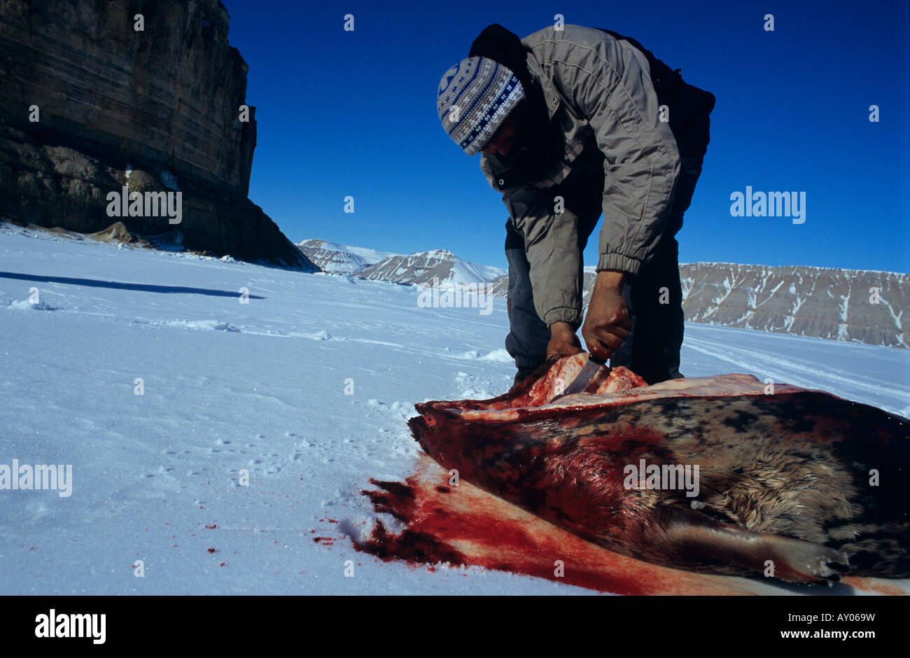 Inuit huner with dead seal, Lancaster sound, Arctic Canada Stock Photo